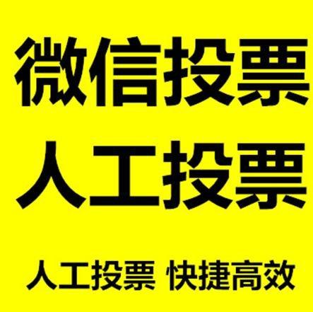 衡水市投票活动拉票能被查出来吗？如何操作能不被发现？